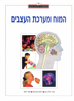 האנציקלופדיה הרפואית - המוח ומערכת העצבים